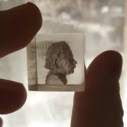 Embedded Albert Einstein Bust - Transparent 3D Print