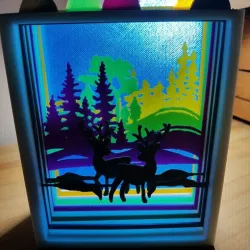 forest setting