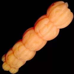 Funtoy Hallowen cosmos pumpkin