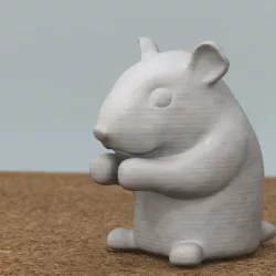 hamster