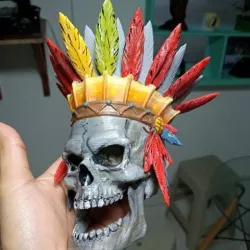 Indian skull