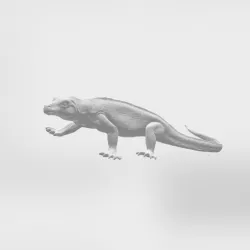 Komodo Dragon
