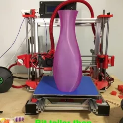 Lightly Twisted Tall Vase