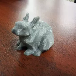 little bunny