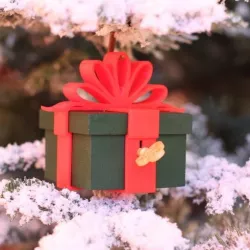 Lockable Present Ornament