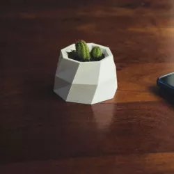 Mini Pot Low Poly