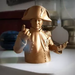 Napoleon Bust.