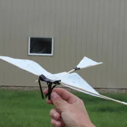 Ornithopter