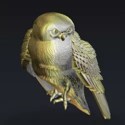 Owl sitting on a branch