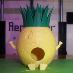 Pineapple-man Birdhouse