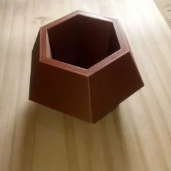 Pot for cactus - flower pot - planter