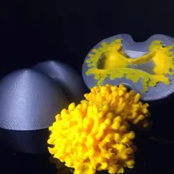 PRINT A 3D NOVA