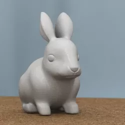 rabbit