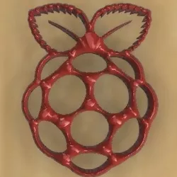 Raspberry pi logo