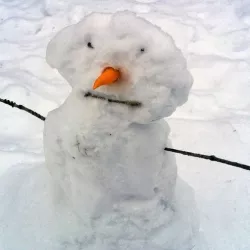 Replacement Nose/Carrot