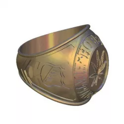 ring nhl league week leaf