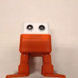 Robot Otto DIY - Roboteam
