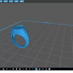SEAL RING