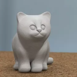 sitting kitten