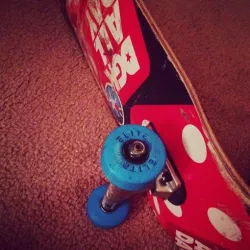 Skateboard Wheels