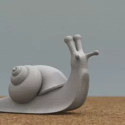snail
