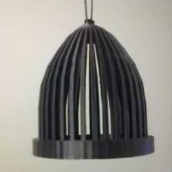Soul Birdcage