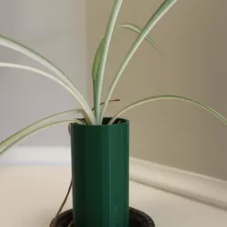 Stacking Spider Plant Pot
