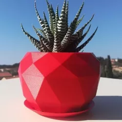 Succulent planter low poly