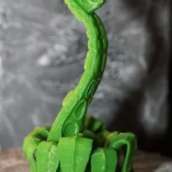 Tabletop plant: Fern Tentacle (11 Leaves)