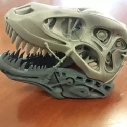 tERMINATOR rEX