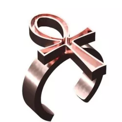 The ANKH Ring
