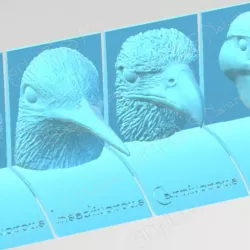 Bird beaks and diets. English language.