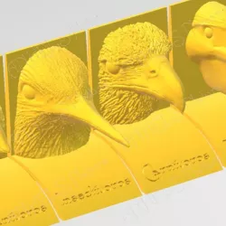 Bird beaks and diets. Spanish language.