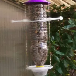 Bird Feeder