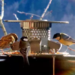 Bird Feeder [prusament spool]