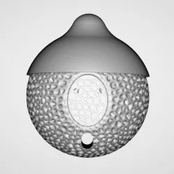bird nest model 1, bird nest