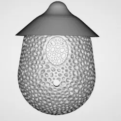 bird nest model 2, bird nest