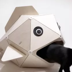 Cat-eating fish (Cat kennel)