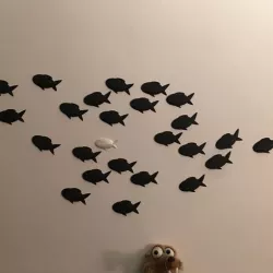 deco fish (fish)