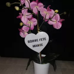 Decorative plant accessory Grandma's Day plant