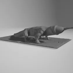 dick KOMODO