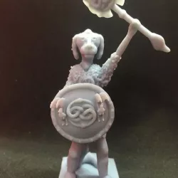 Falcore the White Dragonborn Fighter