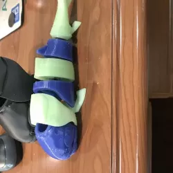 Flexi 3D Fish