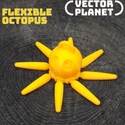 Flexible Octopus