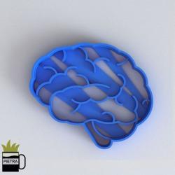 3d brain mold 【 STLFinder