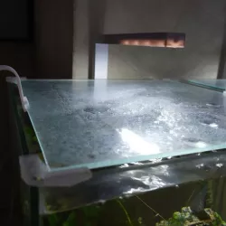 Glass holder Ciano nano cube Pure 15