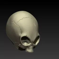 GREY ALIEN SKULL
