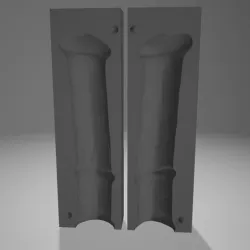 horse penis mold cast
