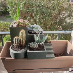 inner pot