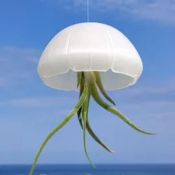 Jellyfish air plant holder